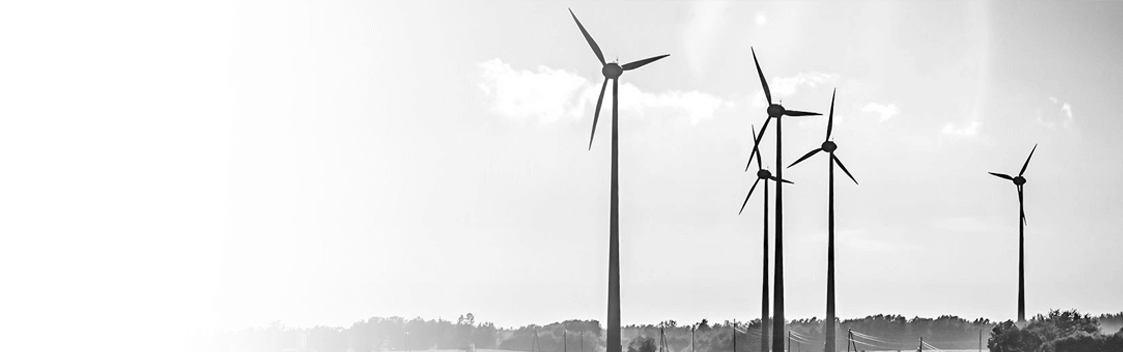 A Wind Farm