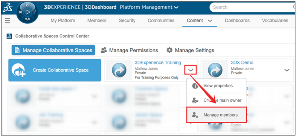 Grant collaborative space access